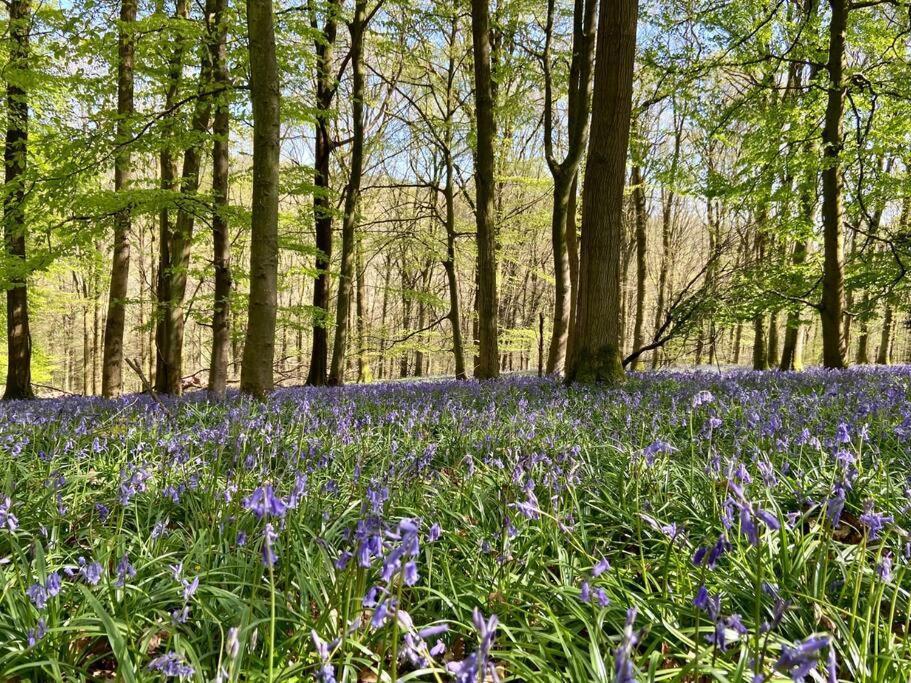 The Mill Stylish Rural Apartment With Beautiful Views Welsh Newton Common المظهر الخارجي الصورة
