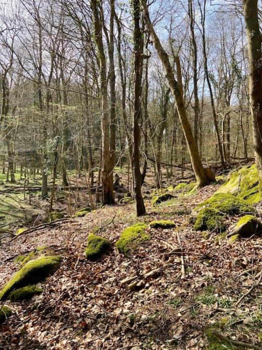 The Mill Stylish Rural Apartment With Beautiful Views Welsh Newton Common المظهر الخارجي الصورة