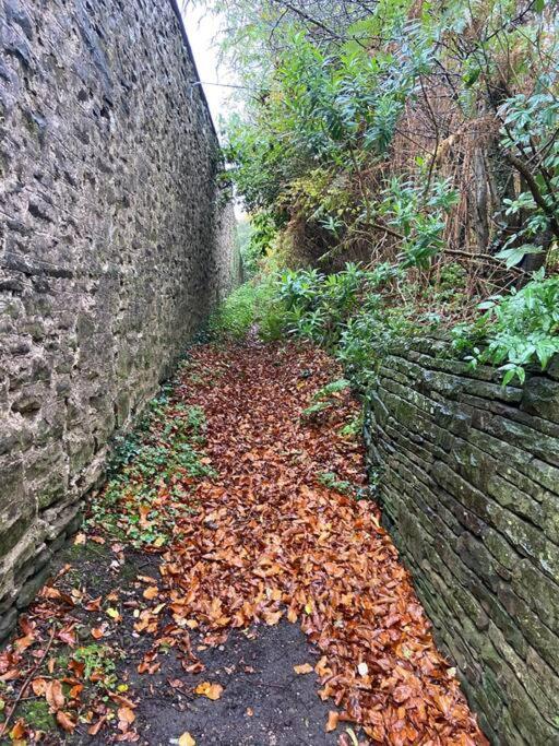 The Mill Stylish Rural Apartment With Beautiful Views Welsh Newton Common المظهر الخارجي الصورة