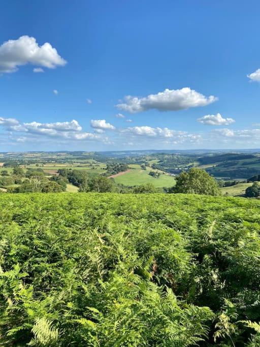The Mill Stylish Rural Apartment With Beautiful Views Welsh Newton Common المظهر الخارجي الصورة